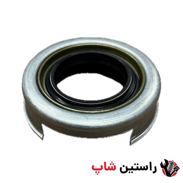 کاسه نمد سگدست ریچ